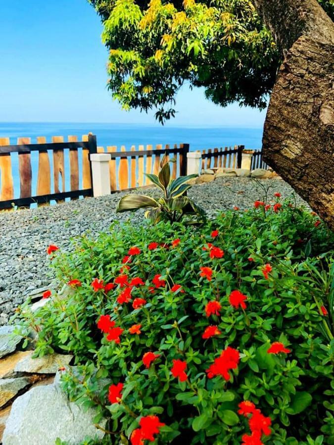 Castara Inn Εξωτερικό φωτογραφία