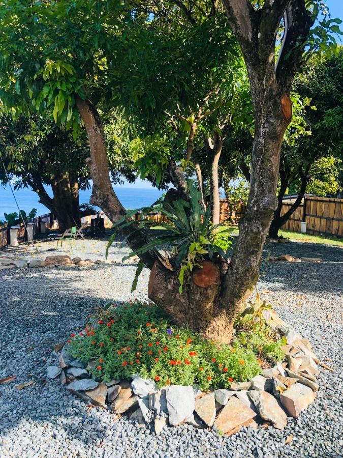 Castara Inn Εξωτερικό φωτογραφία